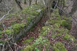 Hownes Gill Incline 2 12/11/2021